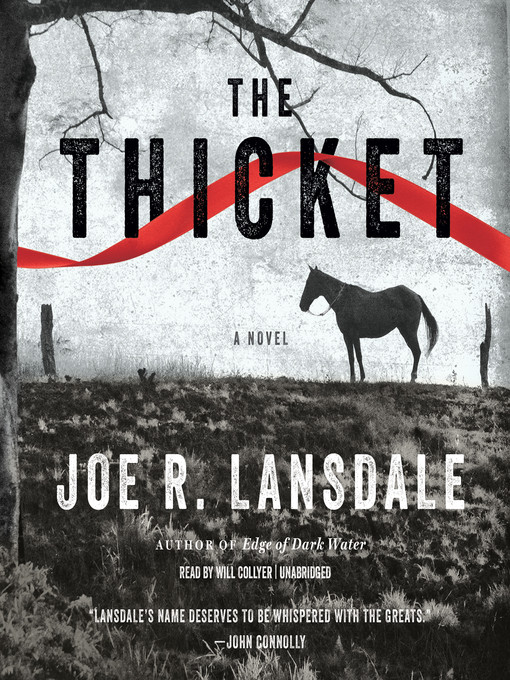 The Thicket (Audiobook)