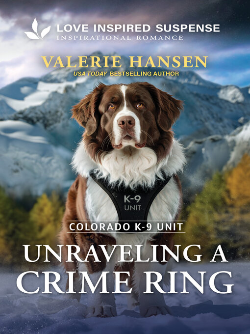 Unraveling a Crime Ring - Hillsborough County Public Library ...