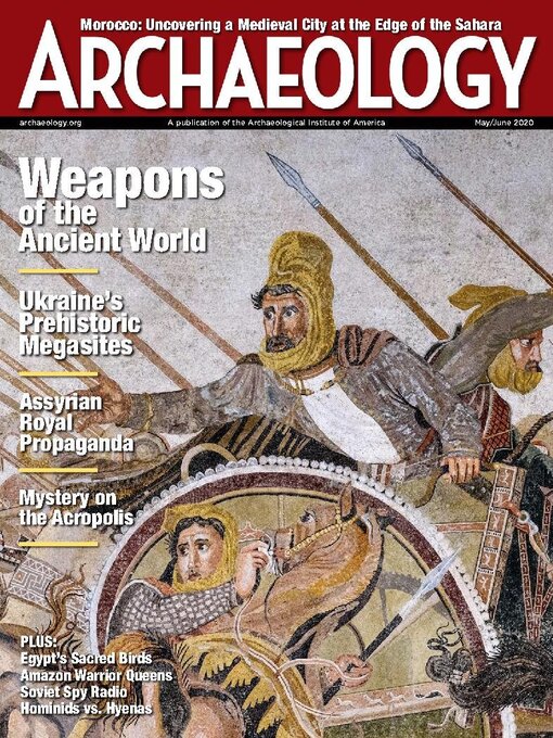 Fire Lances and Cannons - Archaeology Magazine
