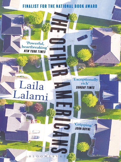 The Other Americans
book cover