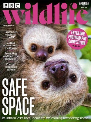 BBC Wildlife Magazine: nature, conservation and wildlife watching